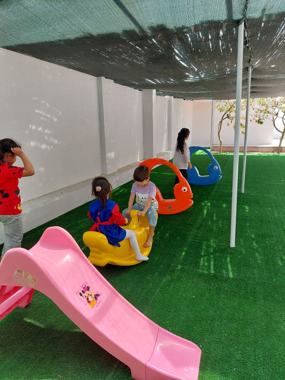 مجموعه دارا و سارا رفسنجان